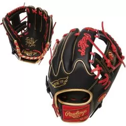 Rawlings Heart Of The Hide 11.75 Inch PRO205W-2BG Baseball Glove