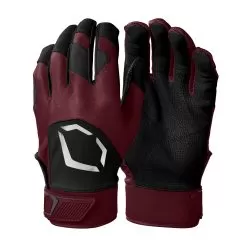 Evoshield Standout Youth Baseball Batting Gloves 25 Evoshield Standout Youth Baseball Batting Gloves -Baseball Shop wb5712812 2 evo standout batting glove adult wh ma.png.cq5dam.web .2000.2000 68840.1679431535