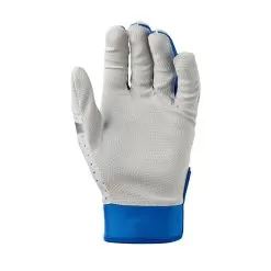 Evoshield Daze Youth Baseball Batting Gloves -Baseball Shop wb5722203 1 evo daze batting glove adult ro.png.cq5dam.web .2000.2000 39974.1679402581